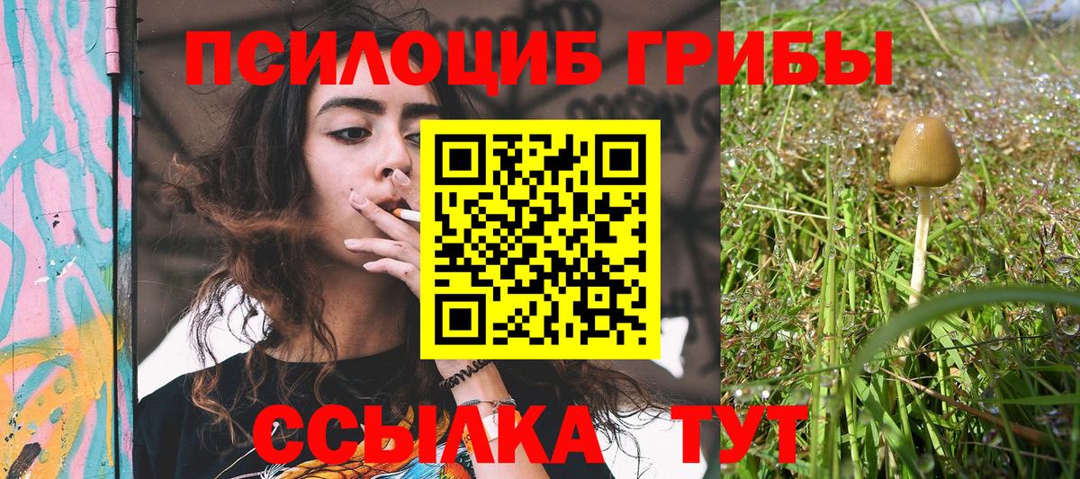 Галлюциногенные грибы ЛСД Котельники