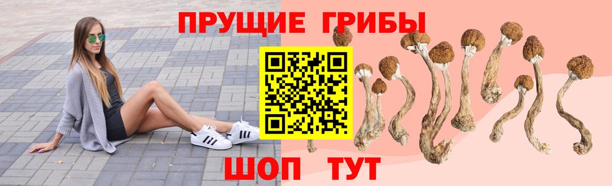 Галлюциногенные грибы Psilocybine cubensis  Вход с VPN  Котельники  Галлюциногенные грибы Psilocybe 